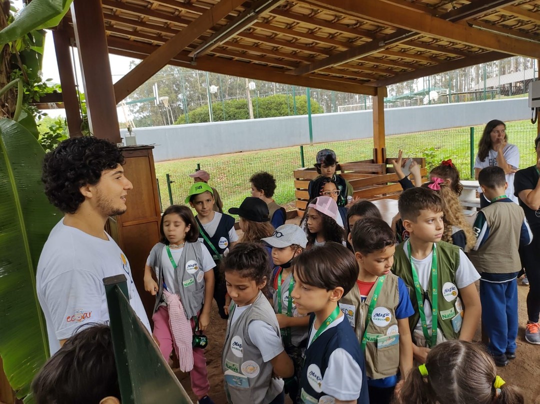 Passeio pedagógico do Ensino Fundamental I