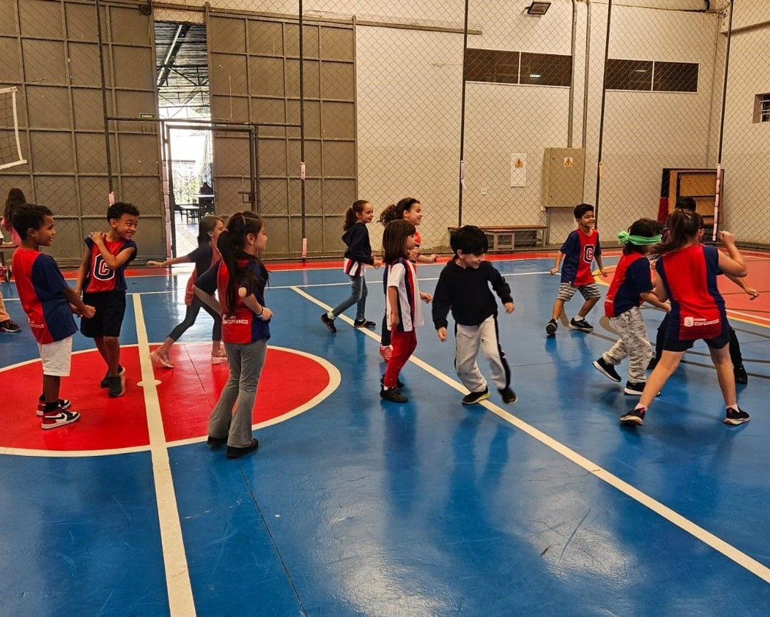 Brincadeira de Gato-mia