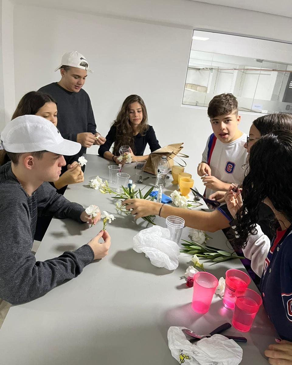 Cromatografia e condução da seiva