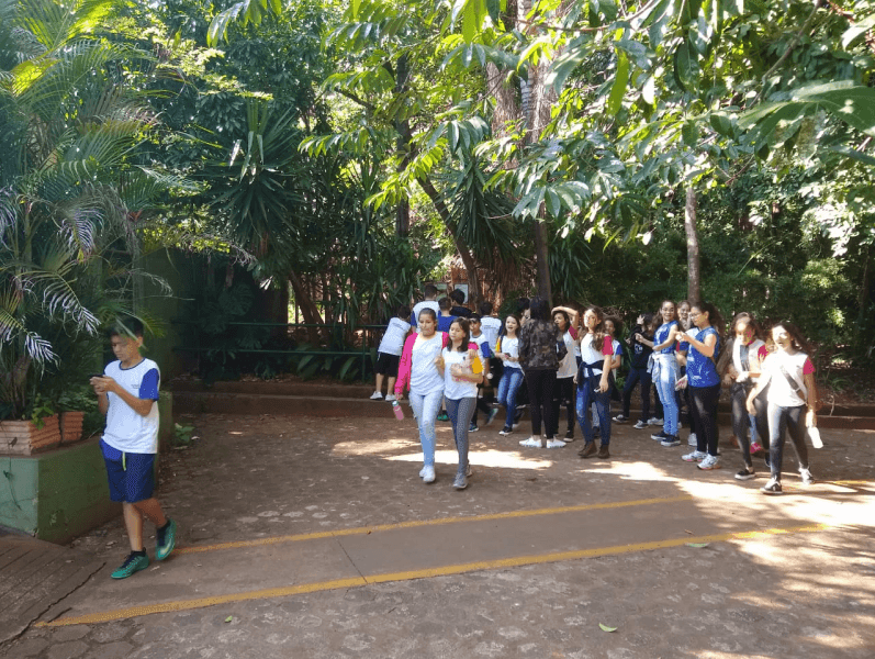 Passeio ao Bosque