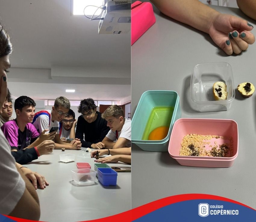 Alunos do Itinerário de Biologia realizam detecção de amido nos alimentos