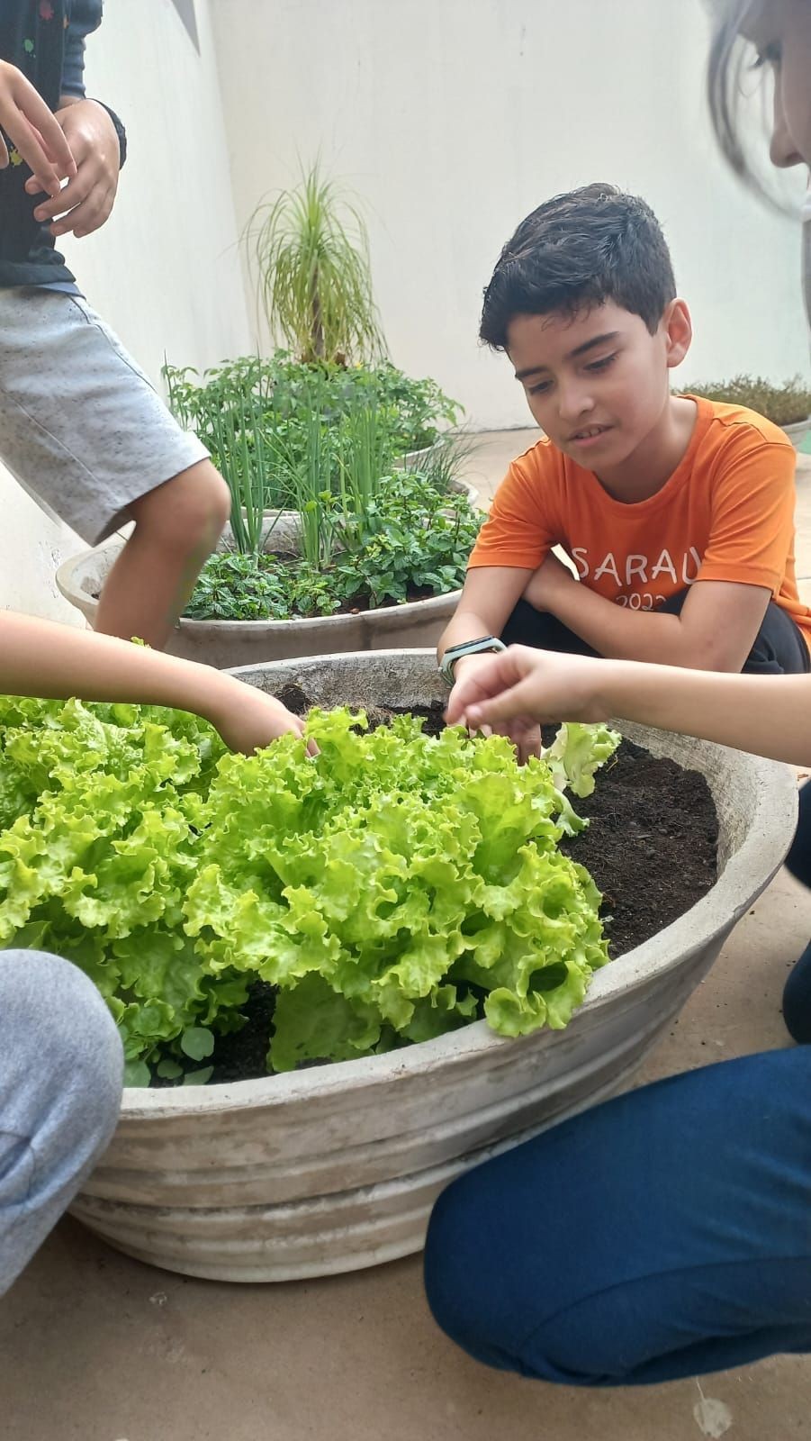 Alunos dão início ao Projeto Horta na Escola