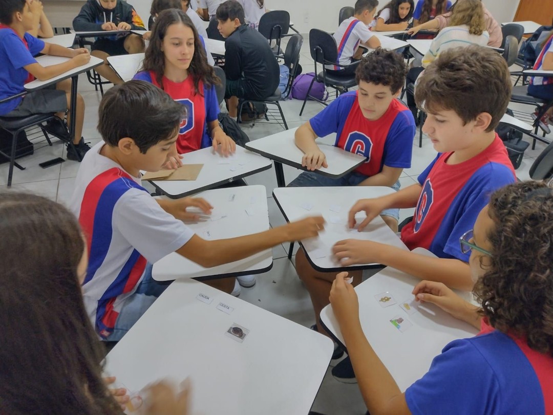 Jogo da Memória de Palavras Homófonas