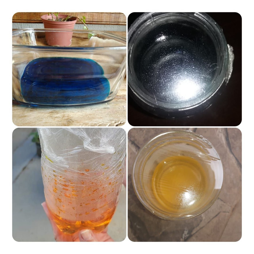 Turminha do Sexto Ano