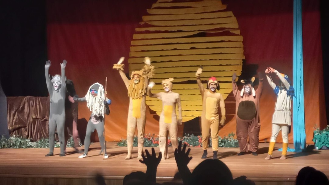 Assistindo ao espetáculo Rei Leão