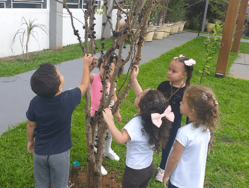 Criança como protagonista da apre...