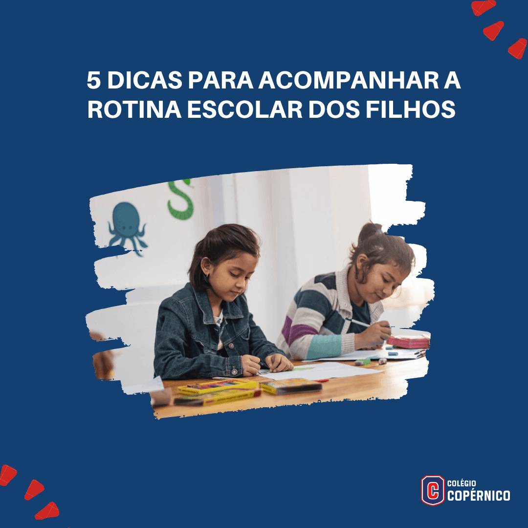 Nova Rotina de Estudos